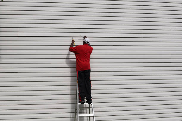 Best Insulated Siding Installation  in Cinco Ranch, TX